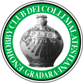 DISTINZIONE IN 20Â° CONCORSO INTERNAZIONALE OLI EXTRAVERGINI DI OLIVA Lâ€™ORCIOLO Dâ€™ORO PREMIATI EMISFERO NORD